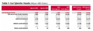 tcmb acikladi agustos ayinda cari islemler hesabi 55 milyar dolar fazla verdi ip8TW72z.jpg